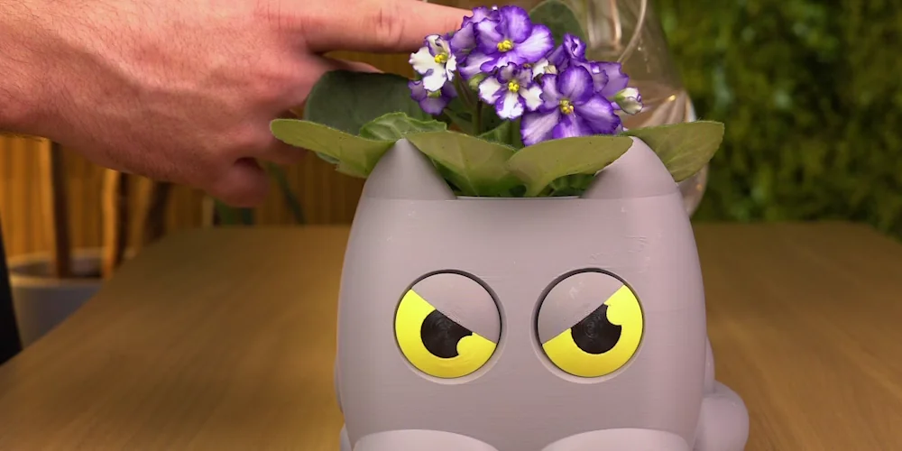 PLANTERS