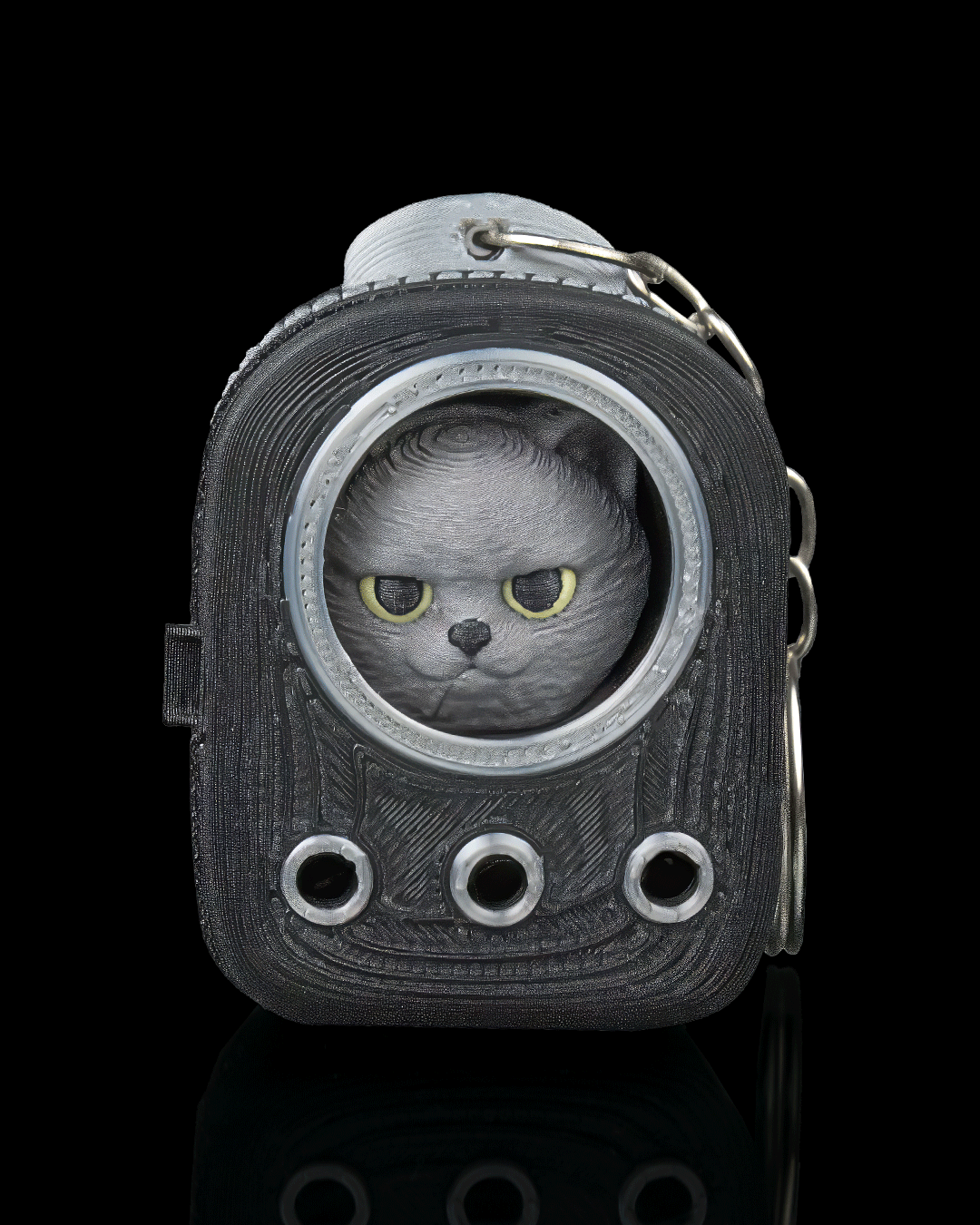 Everyday Pack British Shorthair