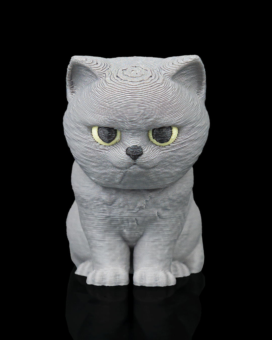 Everyday Pack British Shorthair — detalle articulaciones