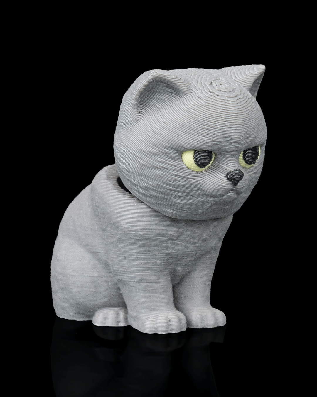 Everyday Pack British Shorthair — vista trasera