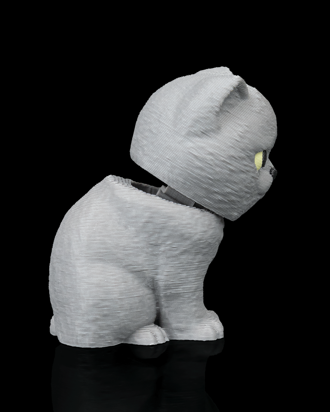 Everyday Pack British Shorthair — escala referencia