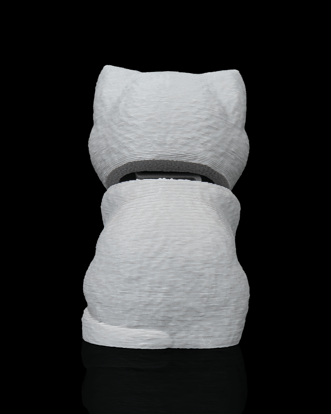 Everyday Pack British Shorthair — acabado premium