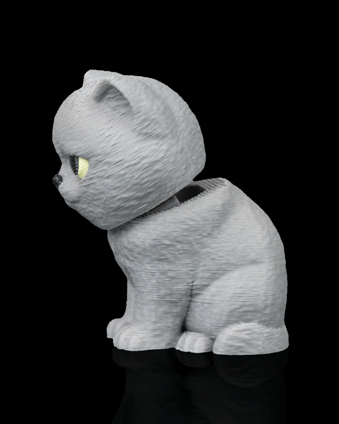 Everyday Pack British Shorthair — composición pack