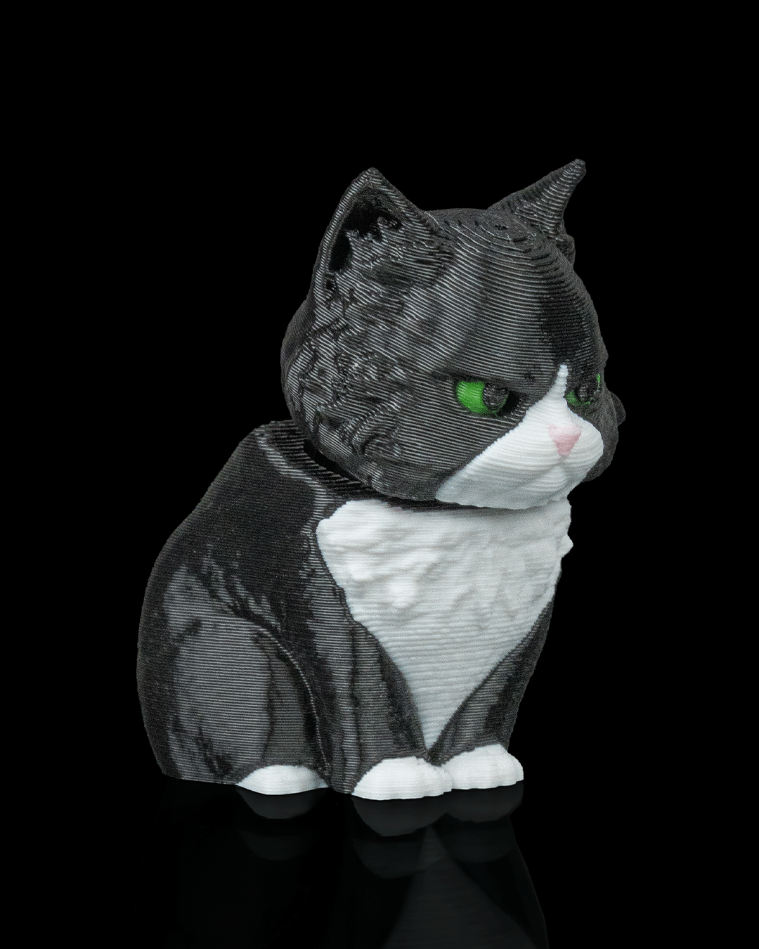 Launch Pack Maine Coon — detalle articulaciones