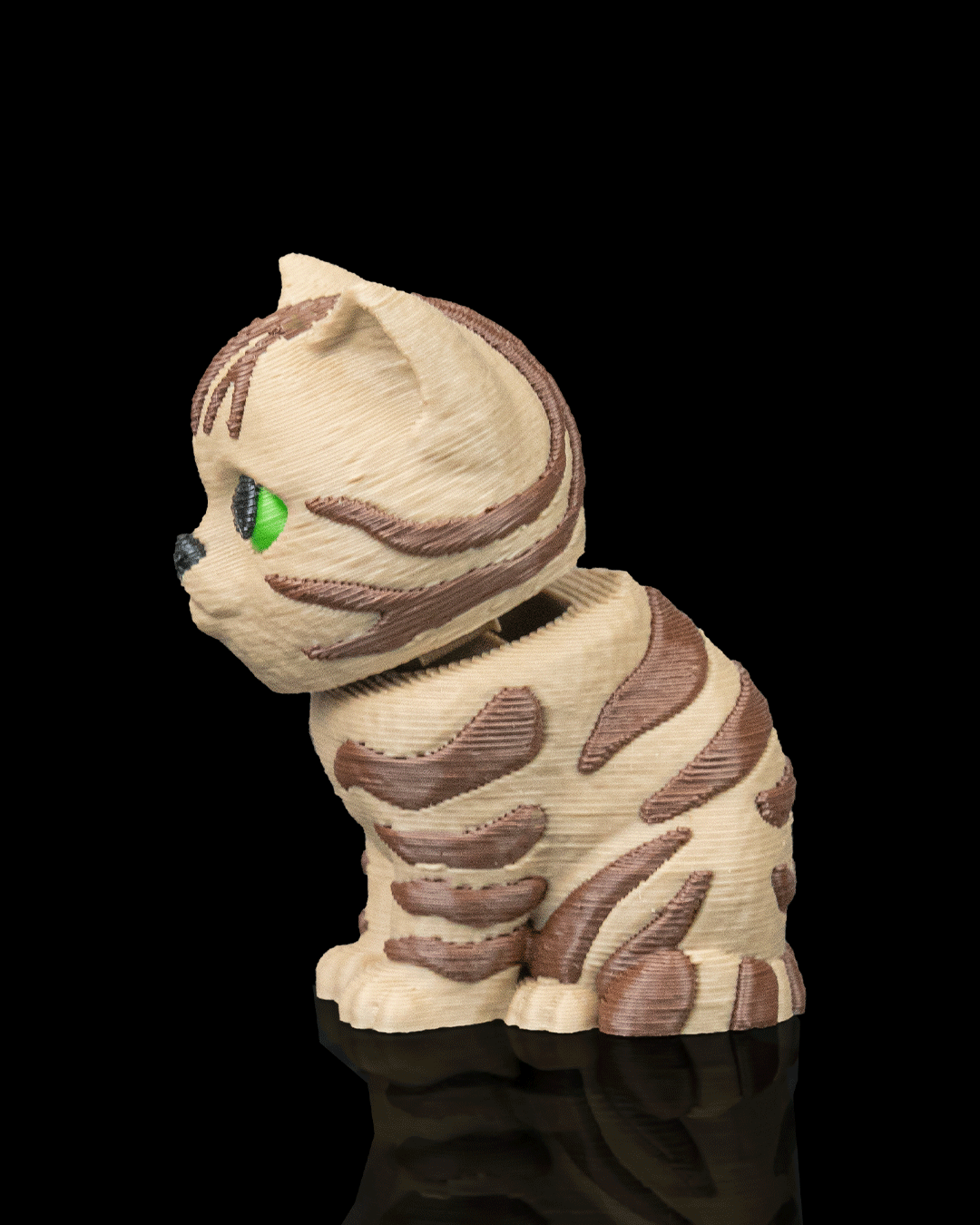 Urban Pack Tabby — familia completa