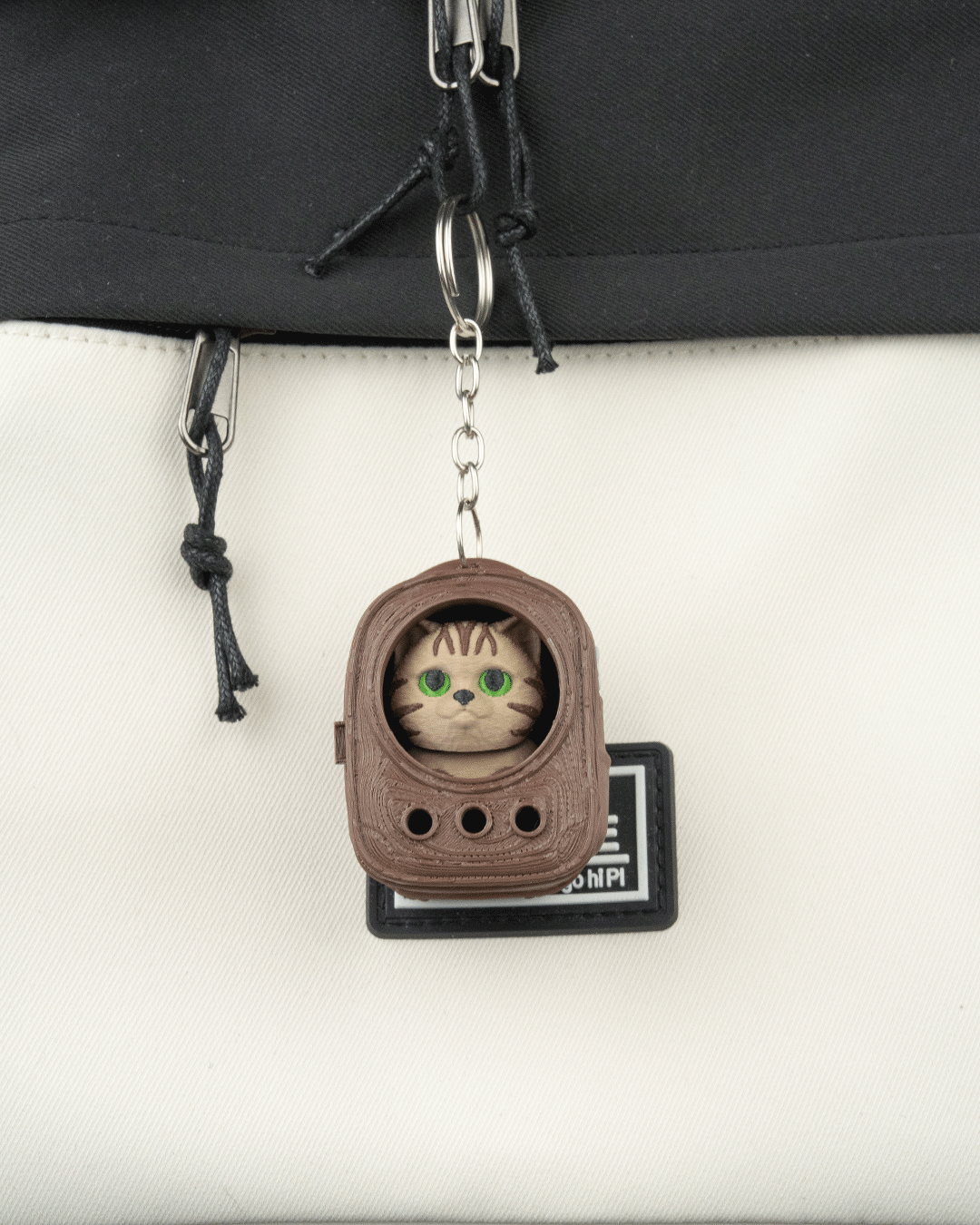 Urban Pack Tabby — detalle facial