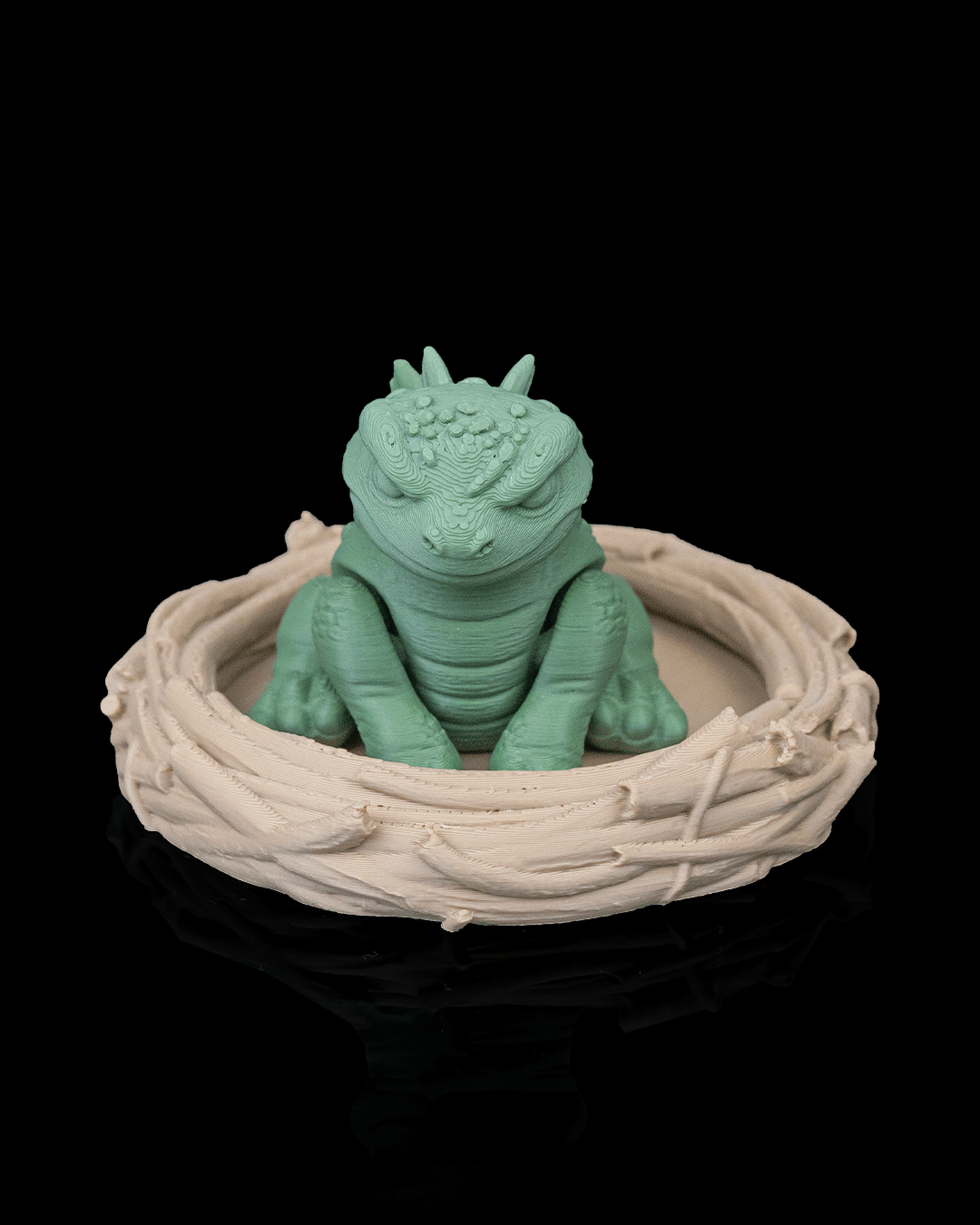 Tiny Stego — detalle articulaciones