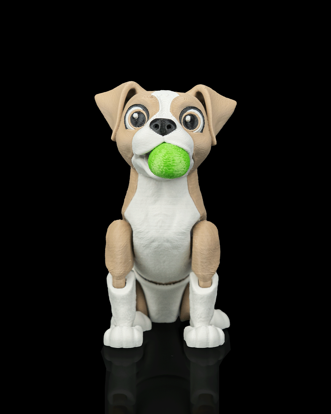 Apollo — Boxer