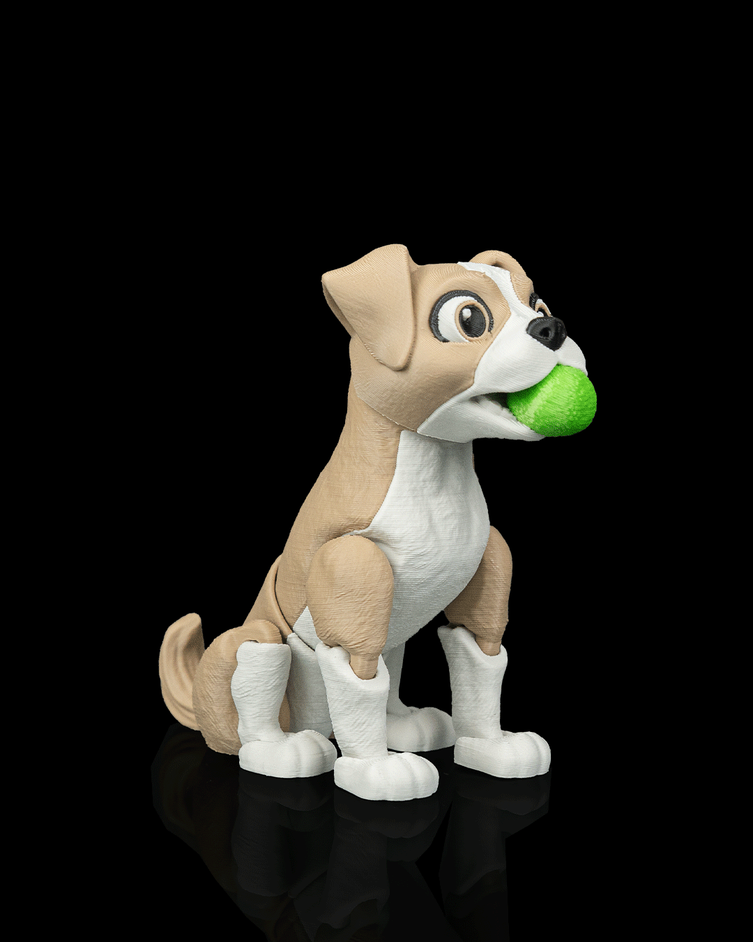 Apollo The Boxer — perspectiva