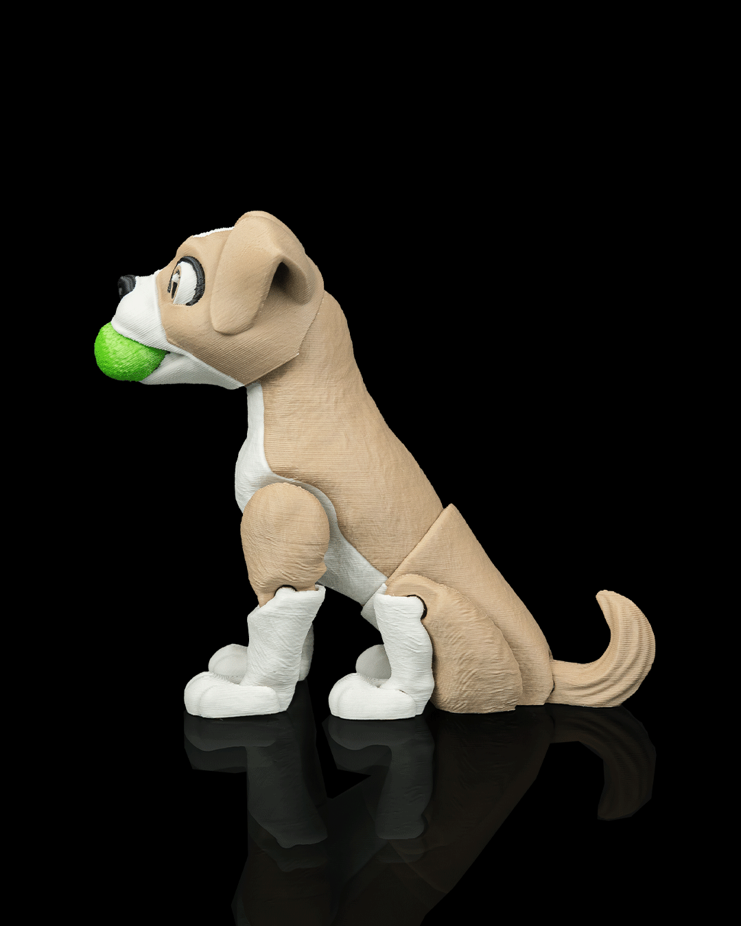 Apollo The Boxer — detalle