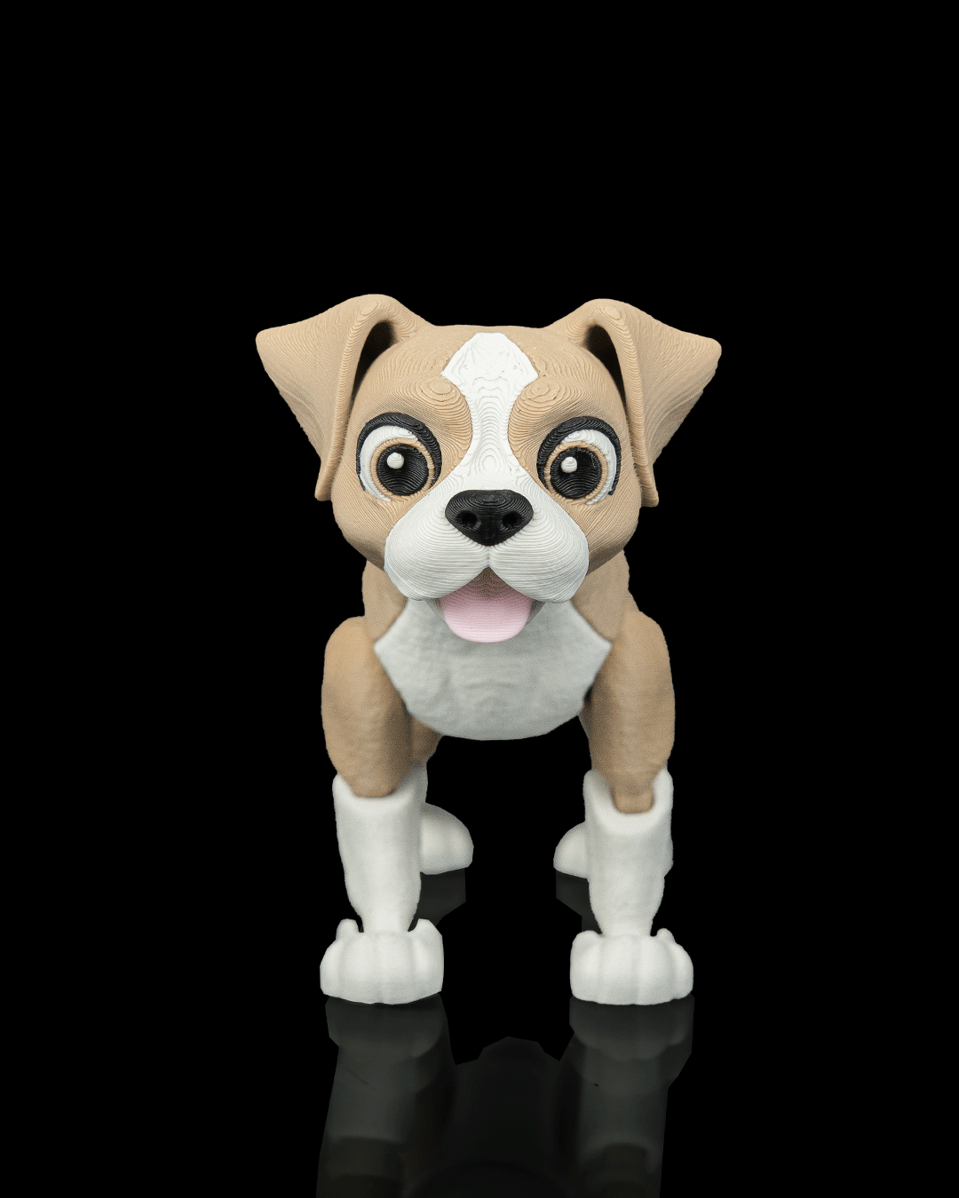 Apollo The Boxer — lateral