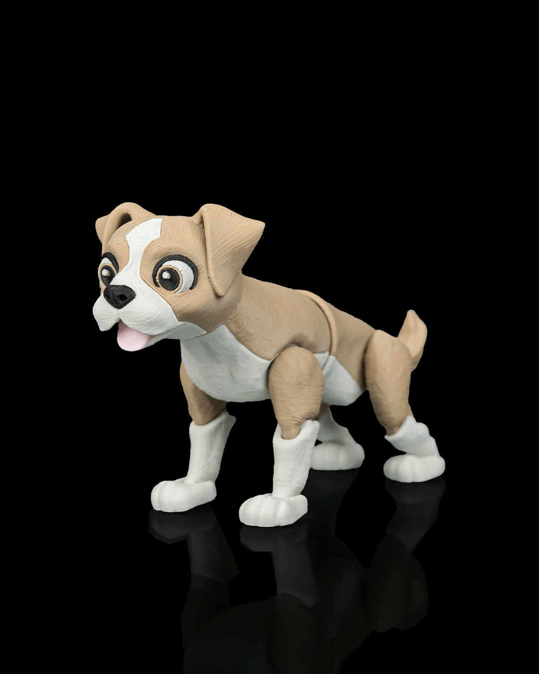 Apollo The Boxer — trasera