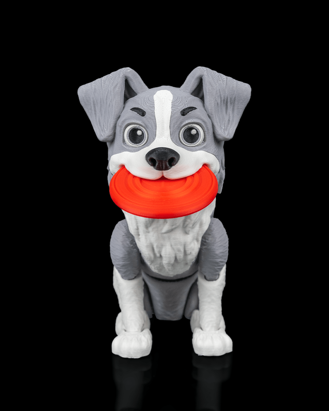 Atlas the Border Collie — pose alternativa