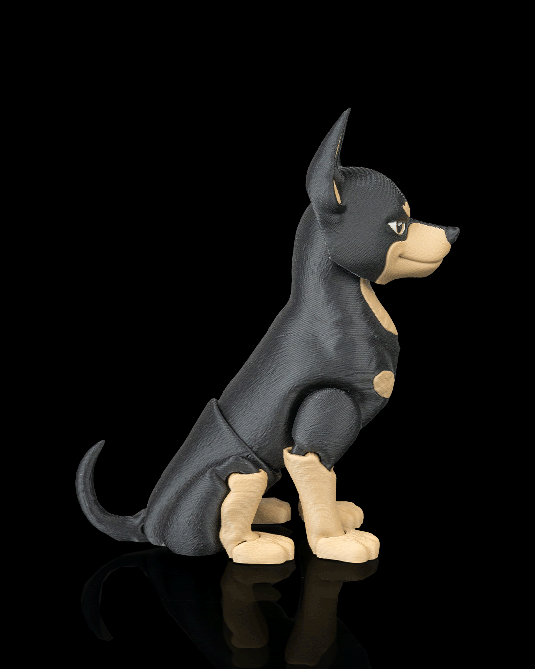 Axel the Dobermann — detalle musculatura