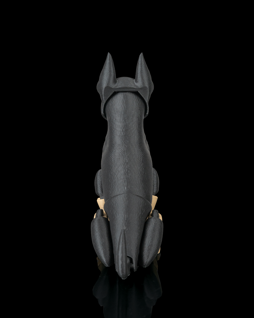 Axel the Dobermann — perspectiva colección