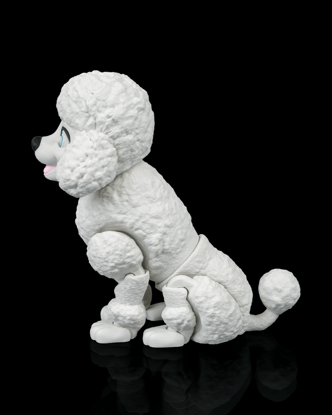 Barbara the Poodle — perspectiva colección