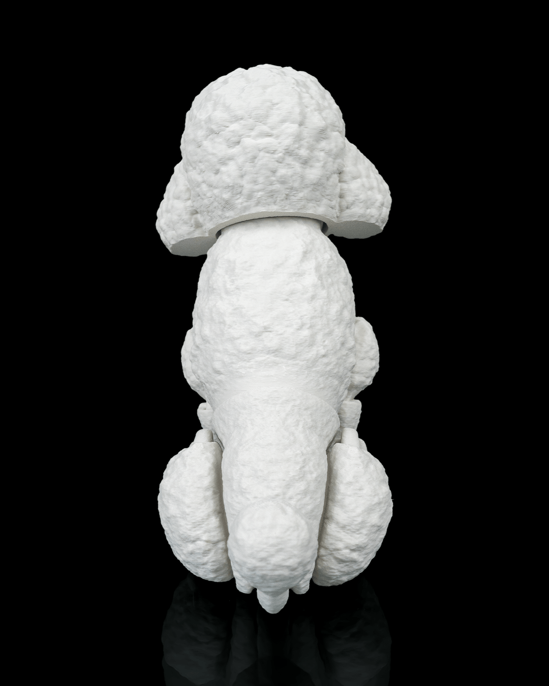 Barbara the Poodle — presentación serie