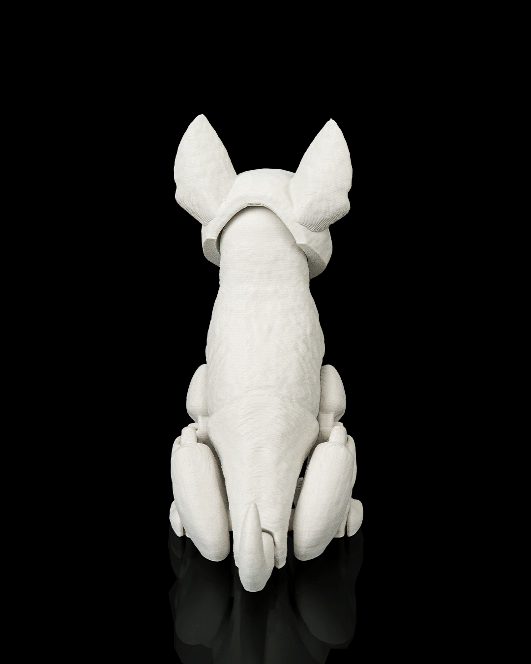 Brutus the Bull Terrier — perspectiva colección