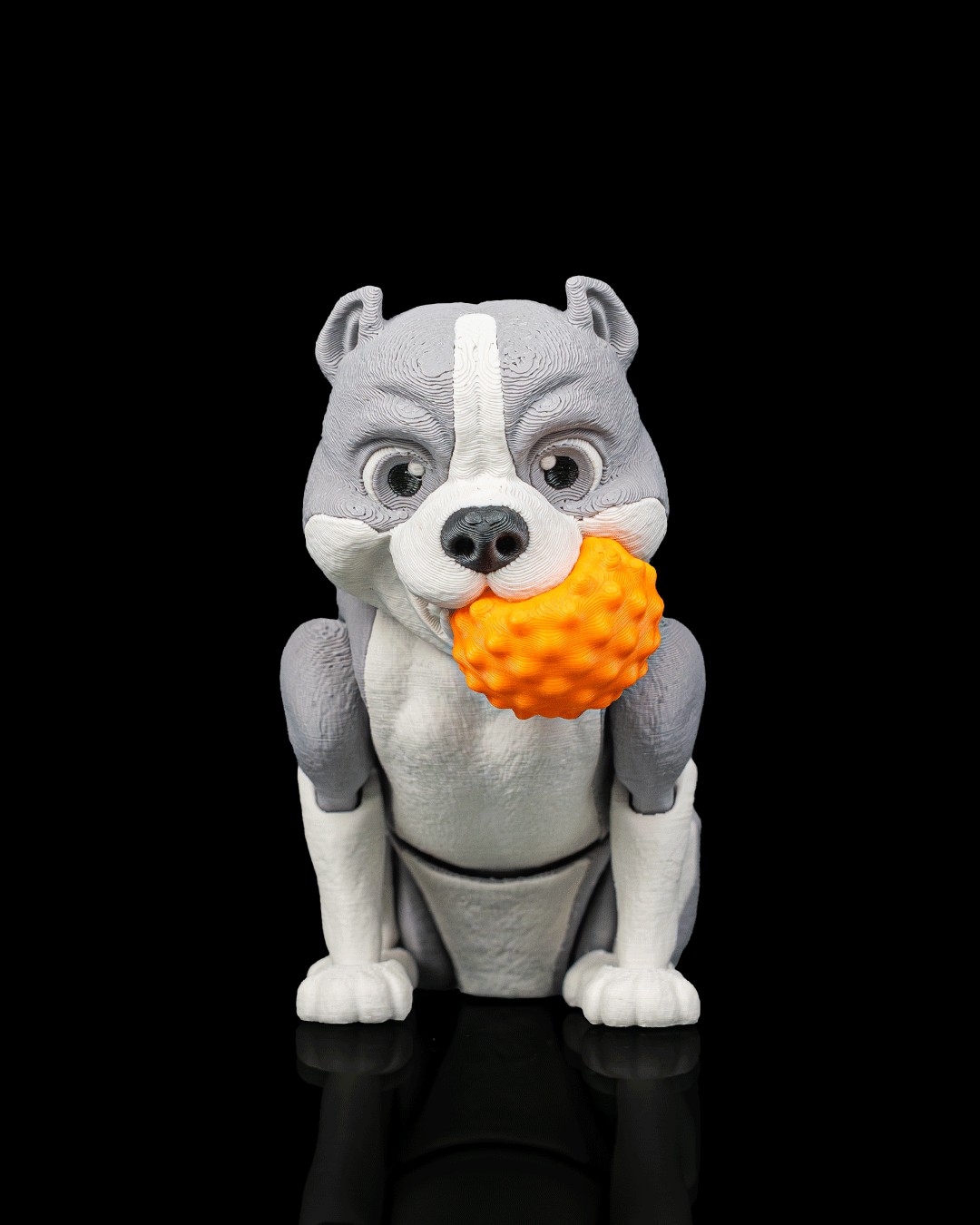 Diesel — American Bully