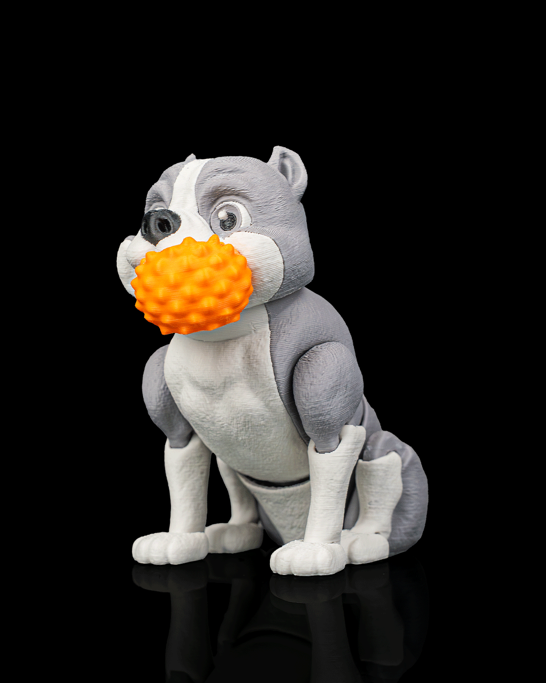 Diesel The American Bully — perspectiva
