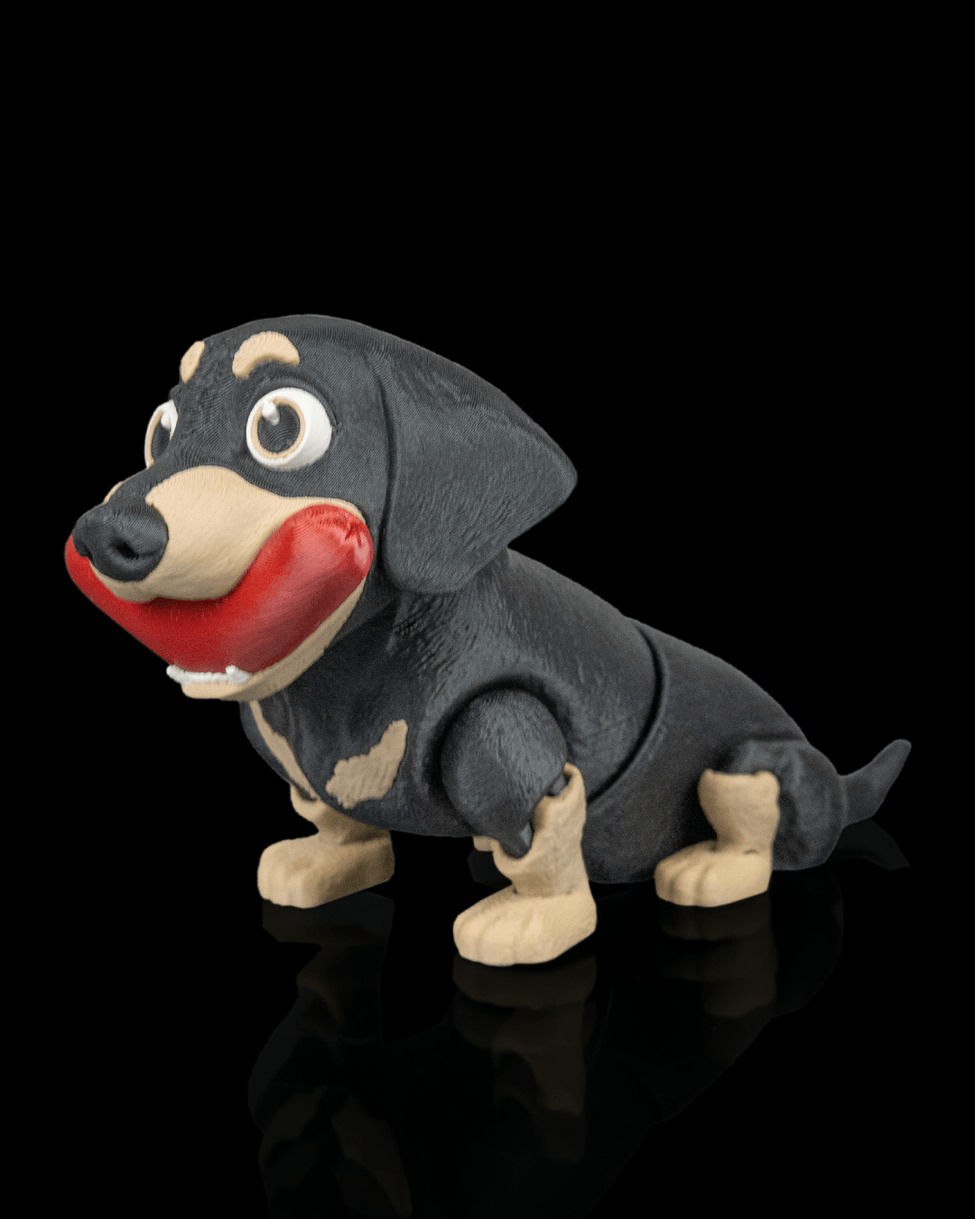 Frank the Dachshund — pose alternativa