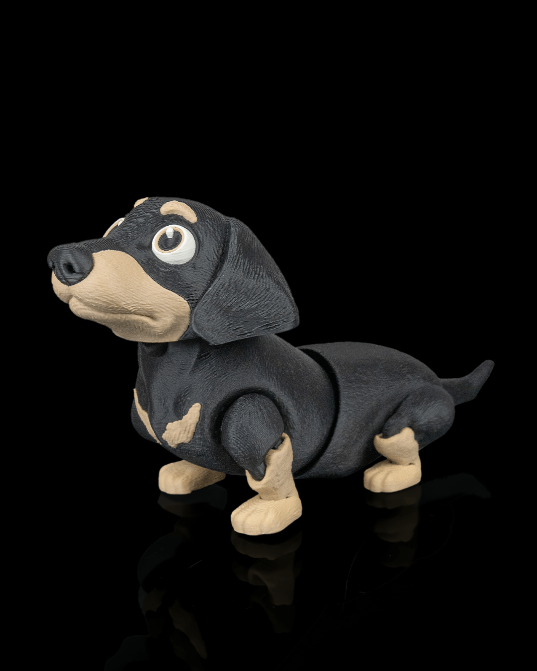 Frank the Dachshund — vista lateral