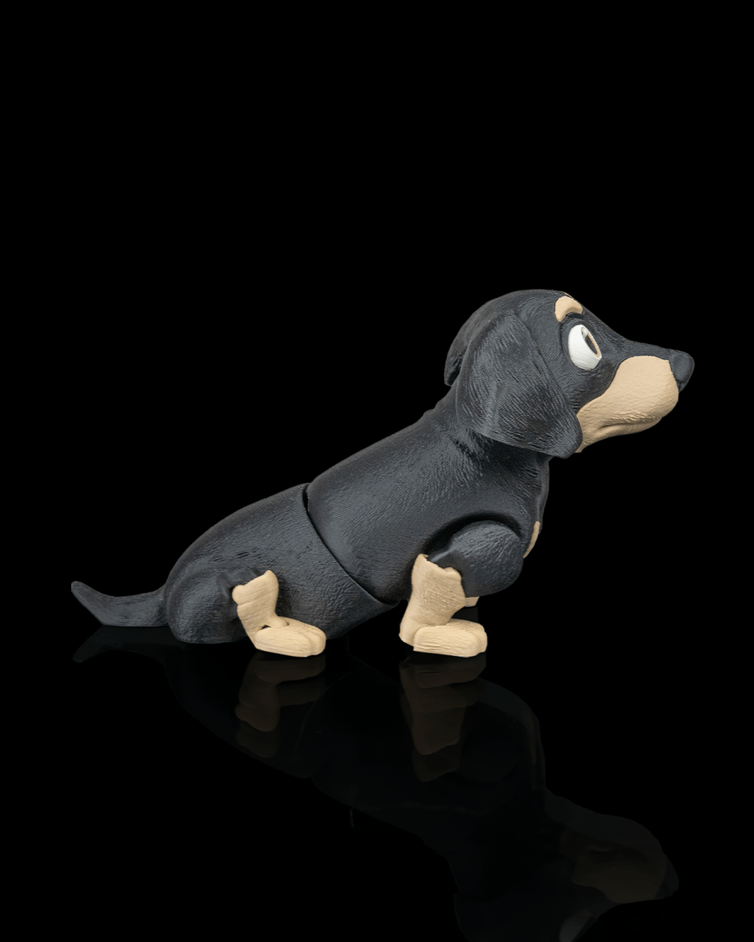 Frank the Dachshund — perspectiva colección