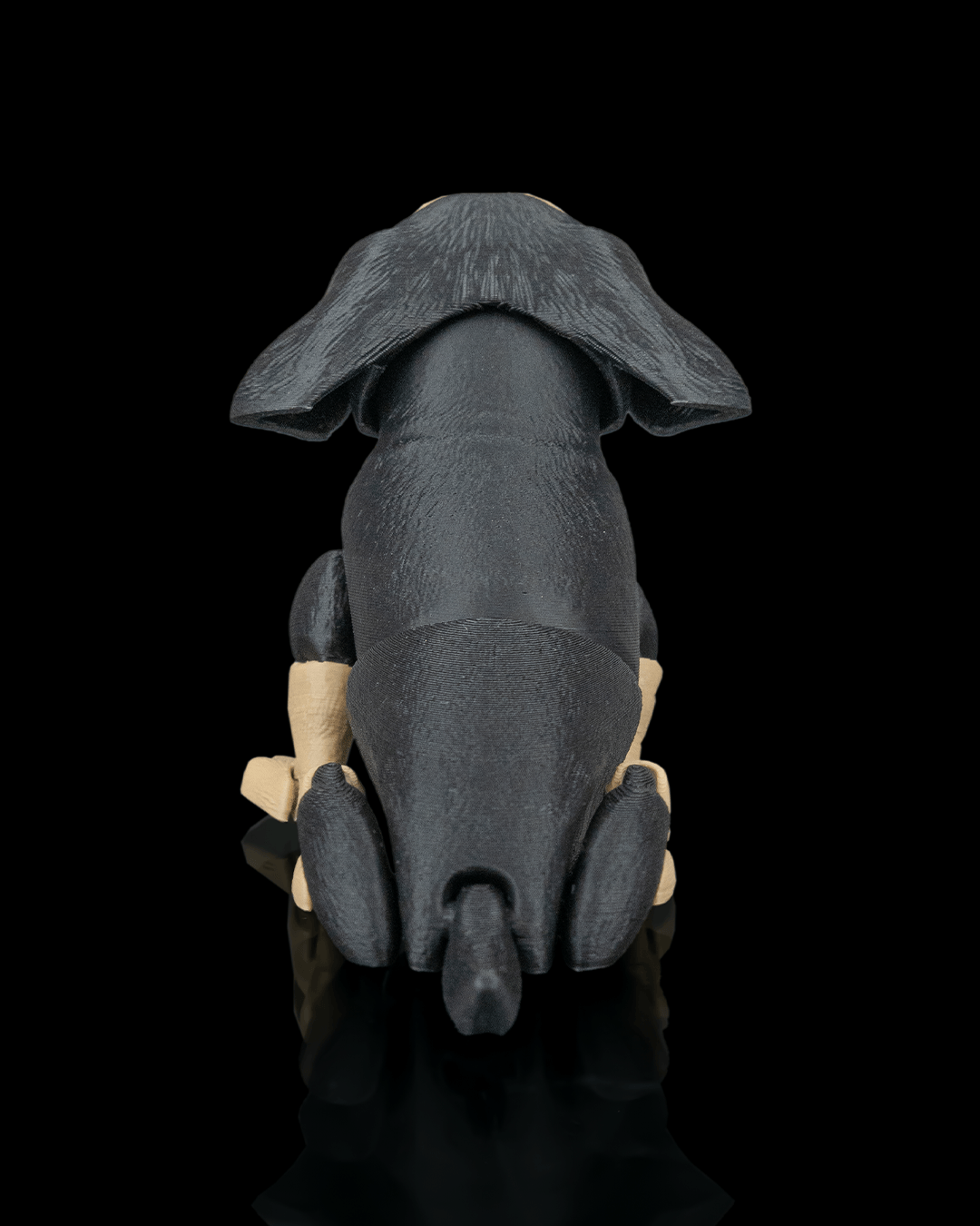 Frank the Dachshund — presentación serie