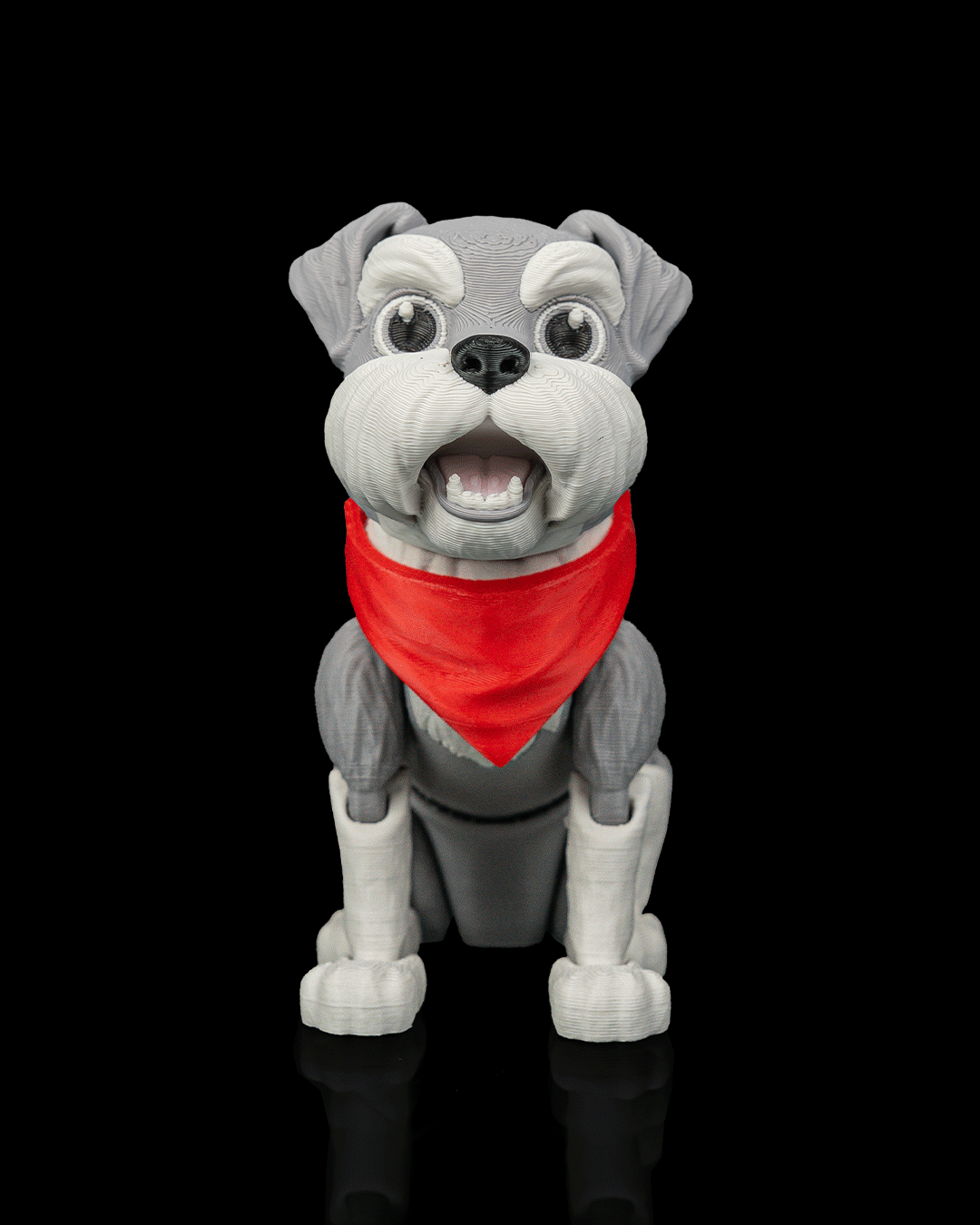 George — Schnauzer