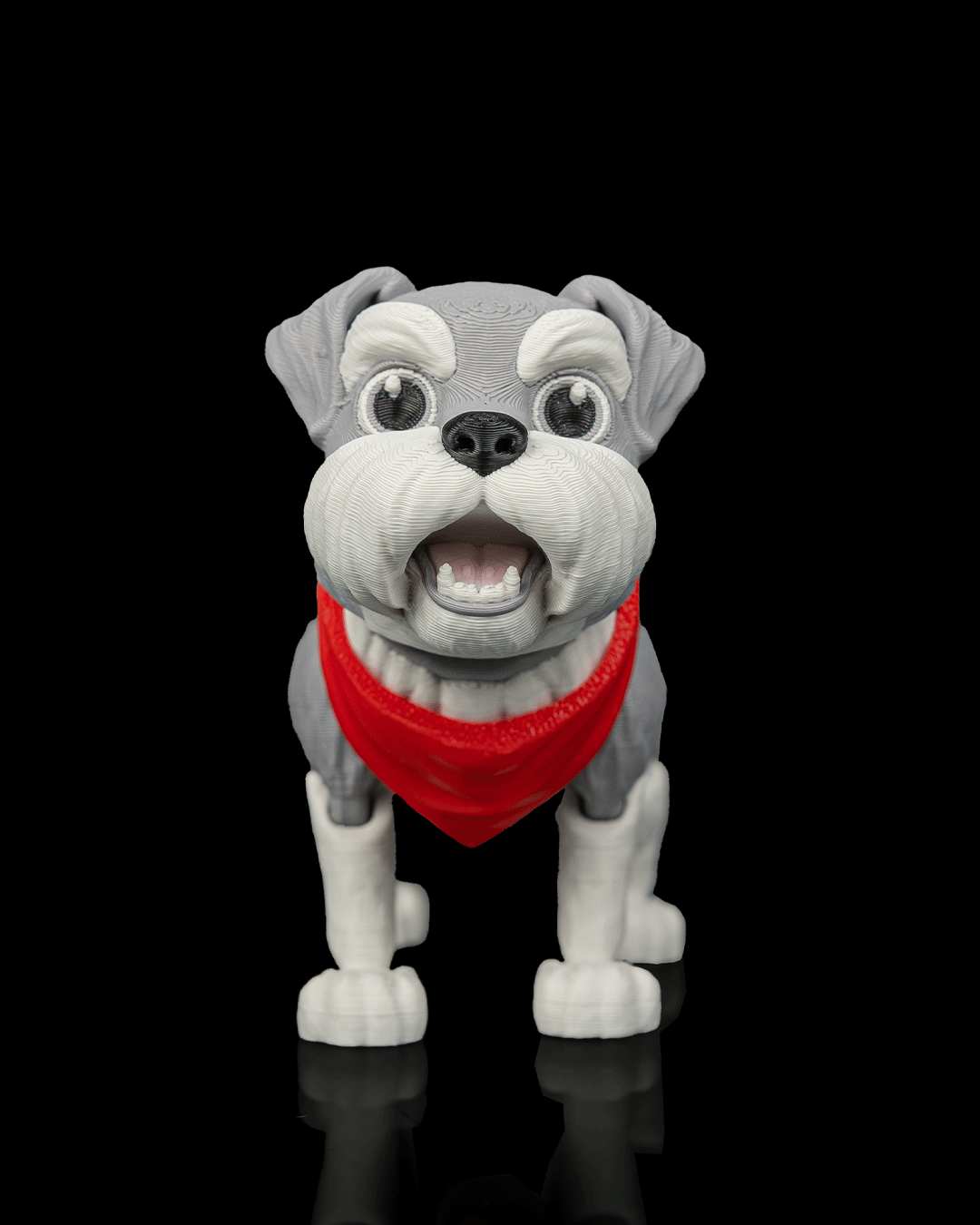 George The Schnauzer — perspectiva