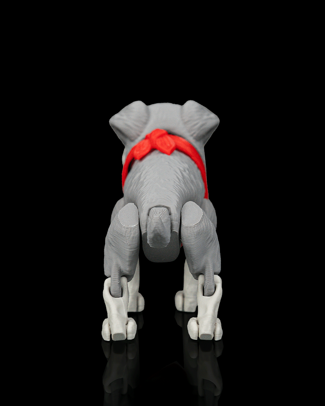 George The Schnauzer — detalle
