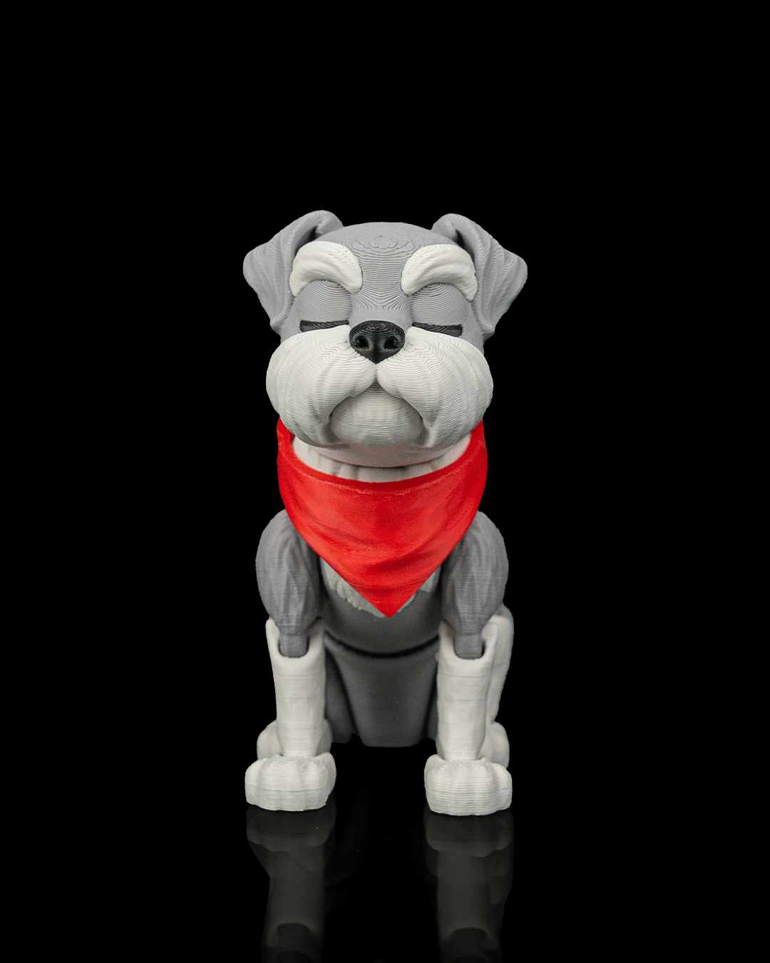George The Schnauzer — trasera