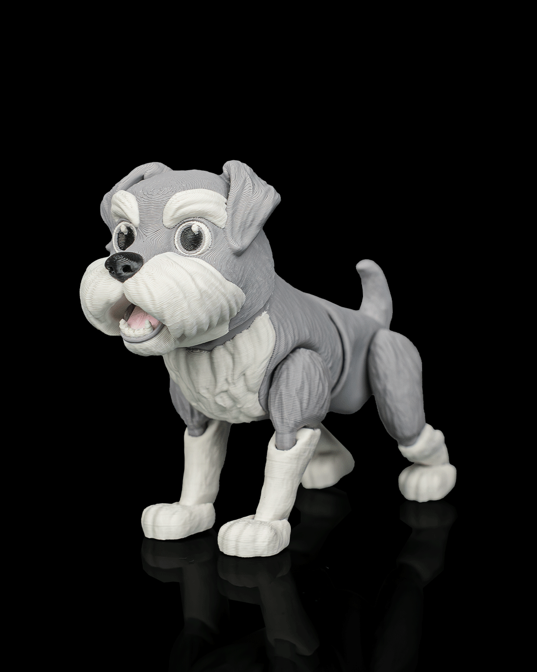 George The Schnauzer — conjunto