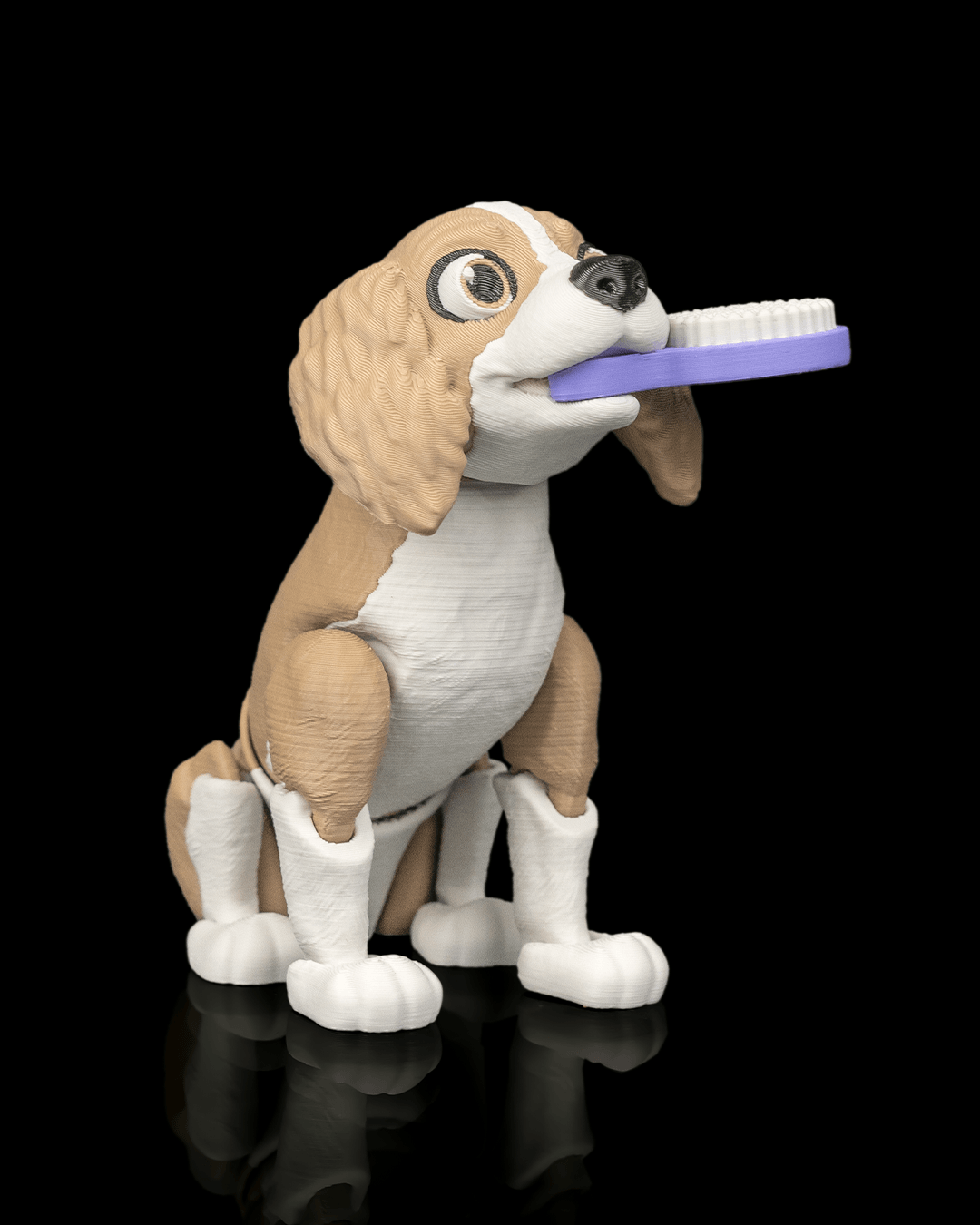 Lady — Cocker Spaniel