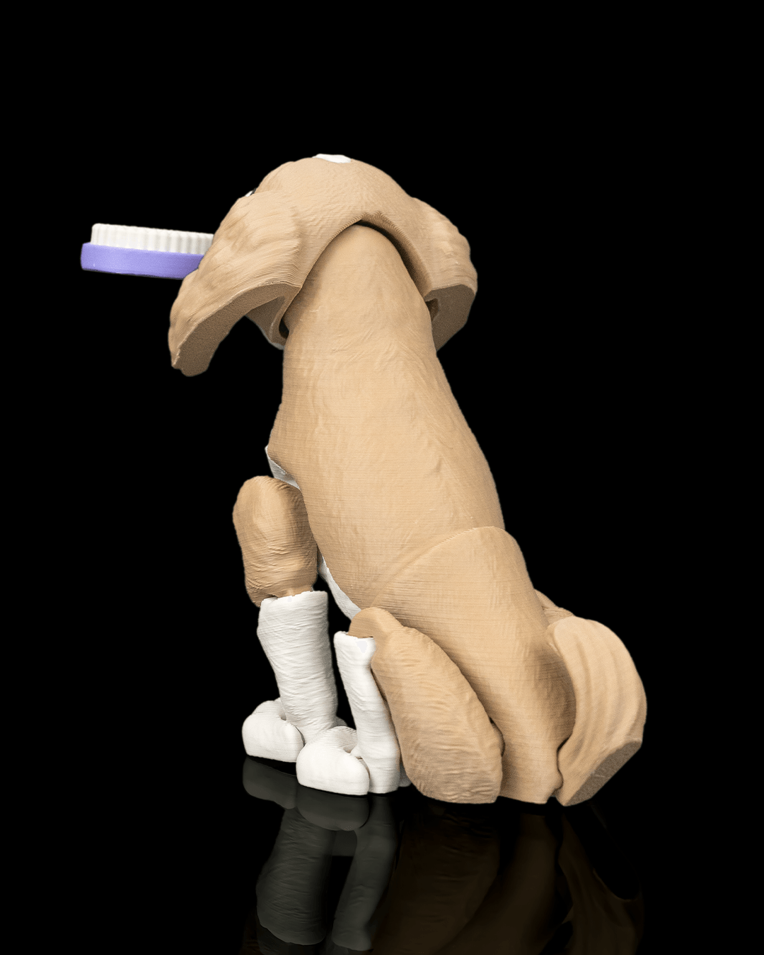 Lady The Cocker Spaniel — detalle