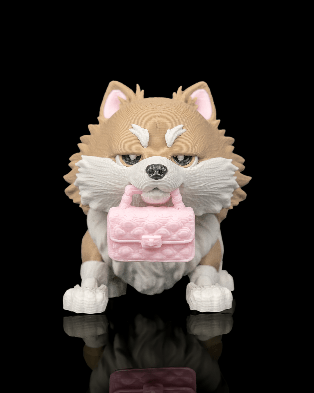 Luna — Pomeranian