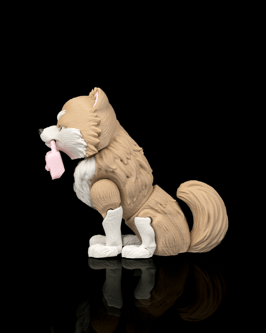 Luna The Pomeranian — detalle