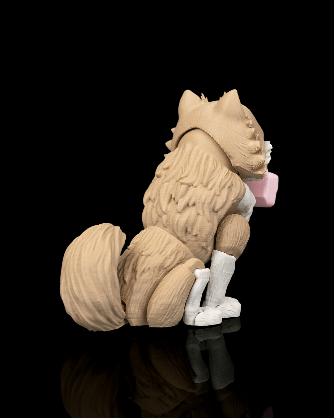 Luna The Pomeranian — lateral
