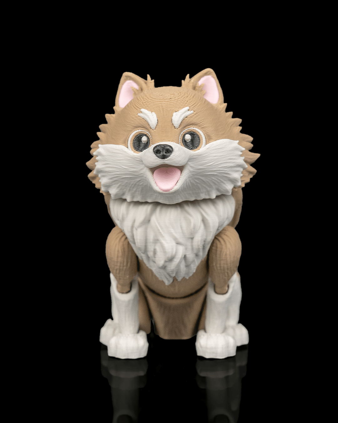 Luna The Pomeranian — trasera