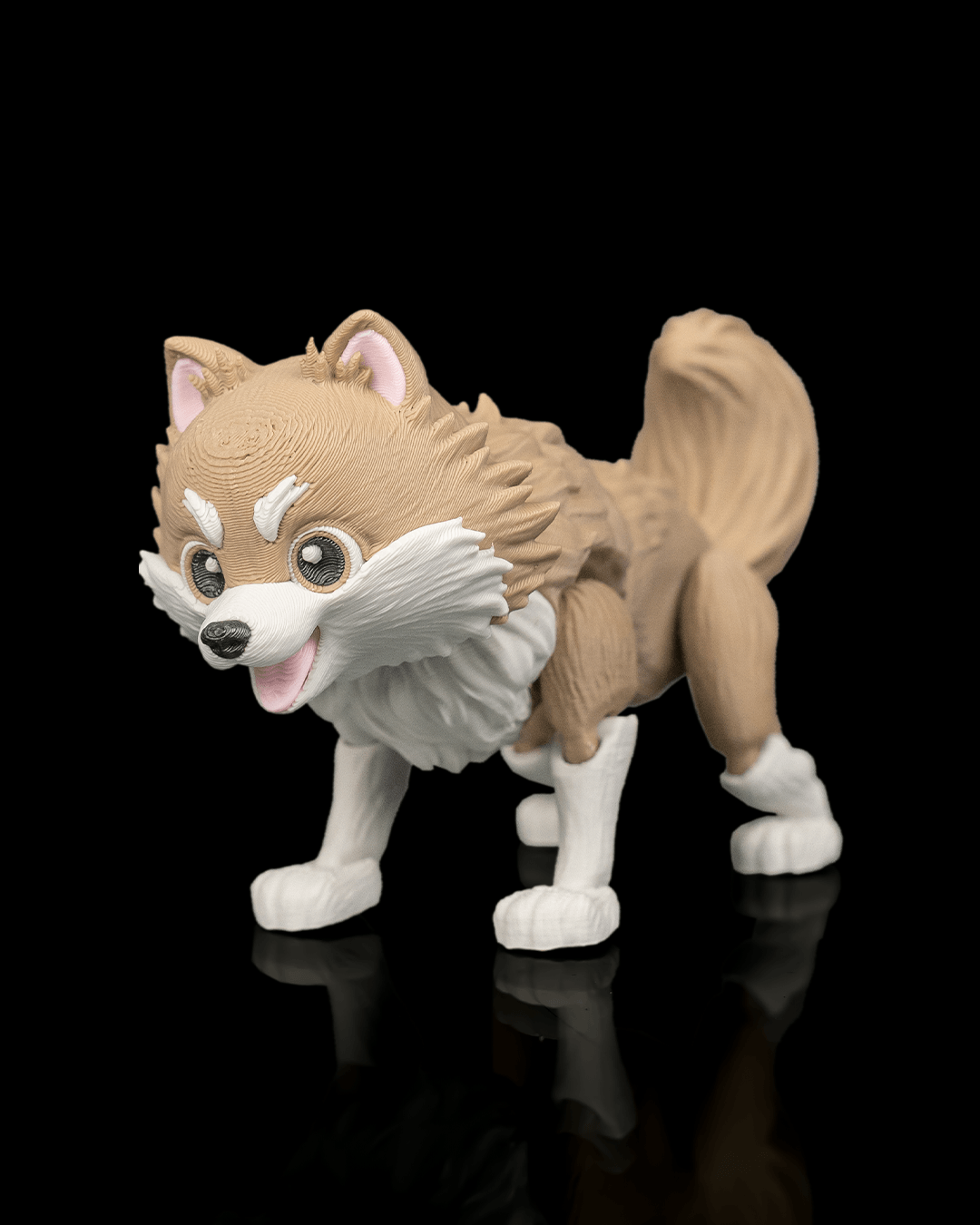 Luna The Pomeranian — conjunto