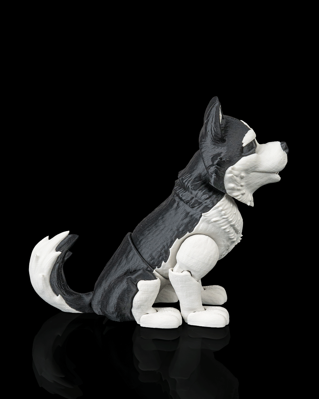 Niko the Husky — pose alternativa