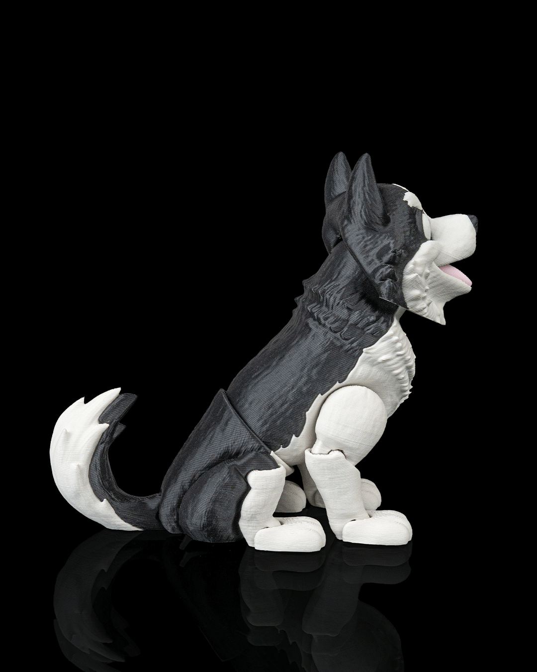 Niko the Husky — detalle pelaje