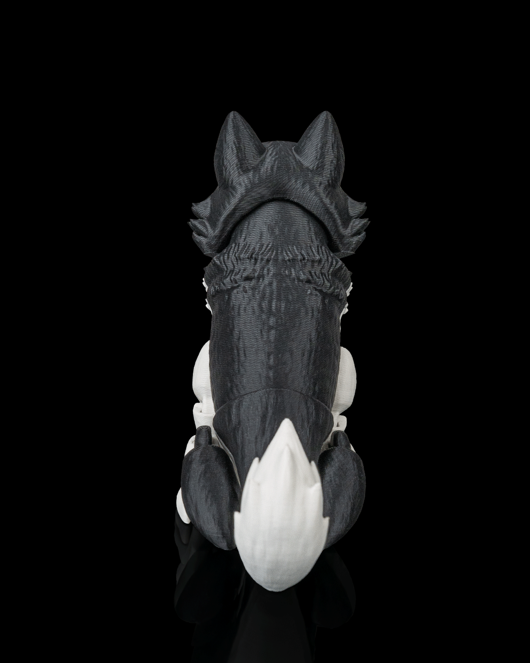 Niko the Husky — perspectiva colección
