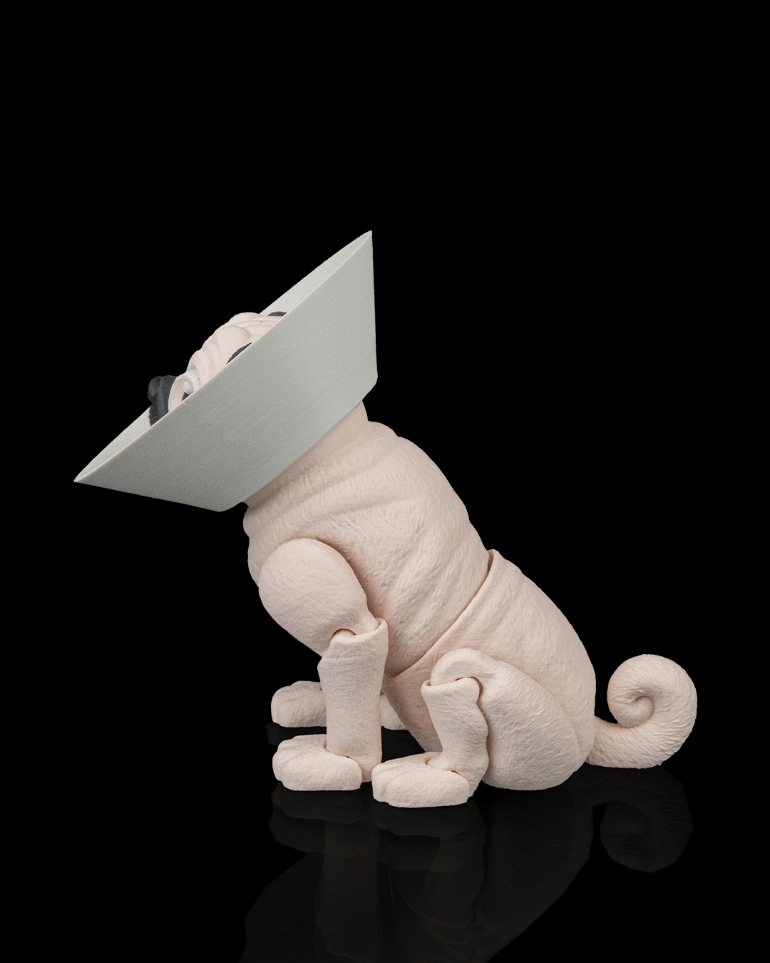 Peanut the Pug — detalle facial