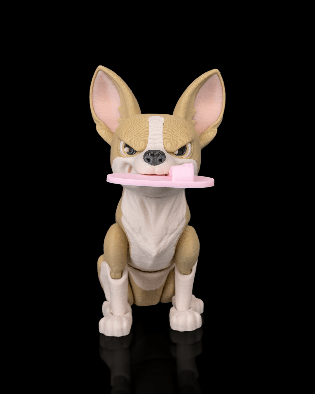 Pepper the Chihuahua