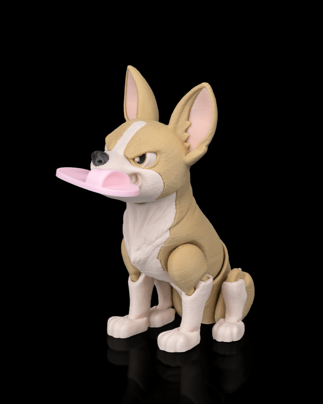 Pepper the Chihuahua — pose alternativa