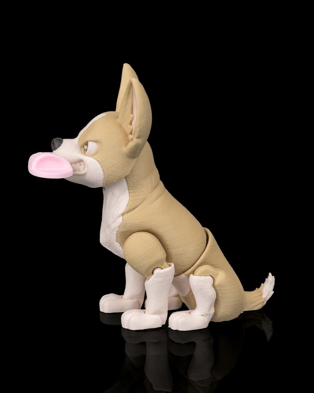 Pepper the Chihuahua — detalle expresión