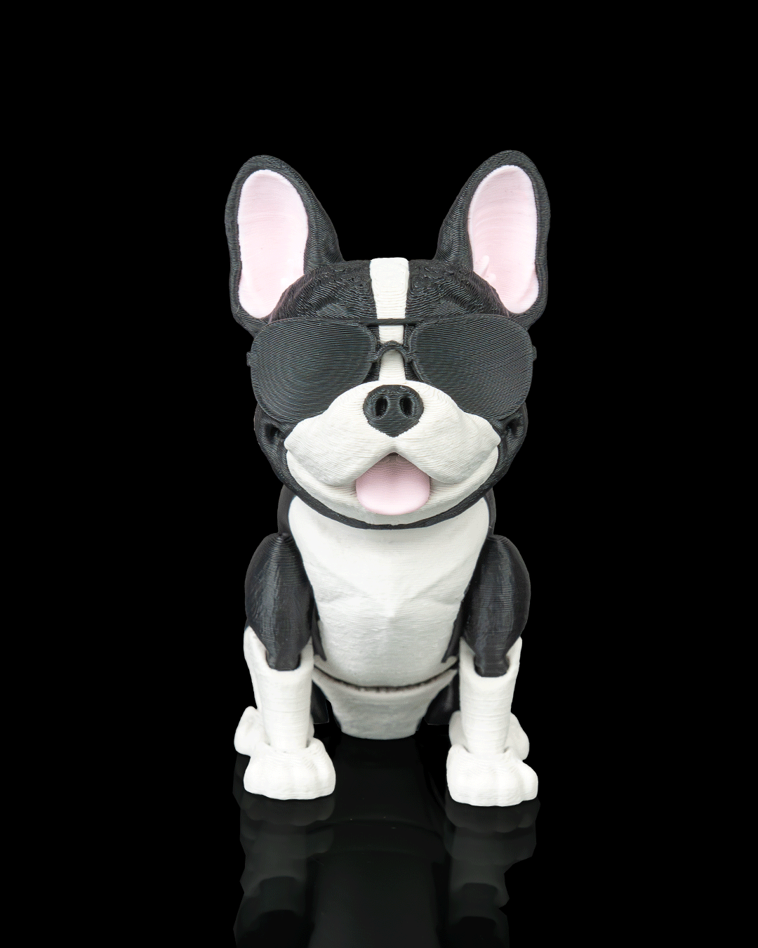 Pierre the French Bulldog