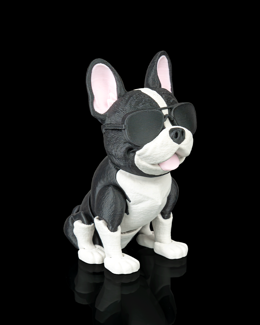 Pierre the French Bulldog — pose alternativa