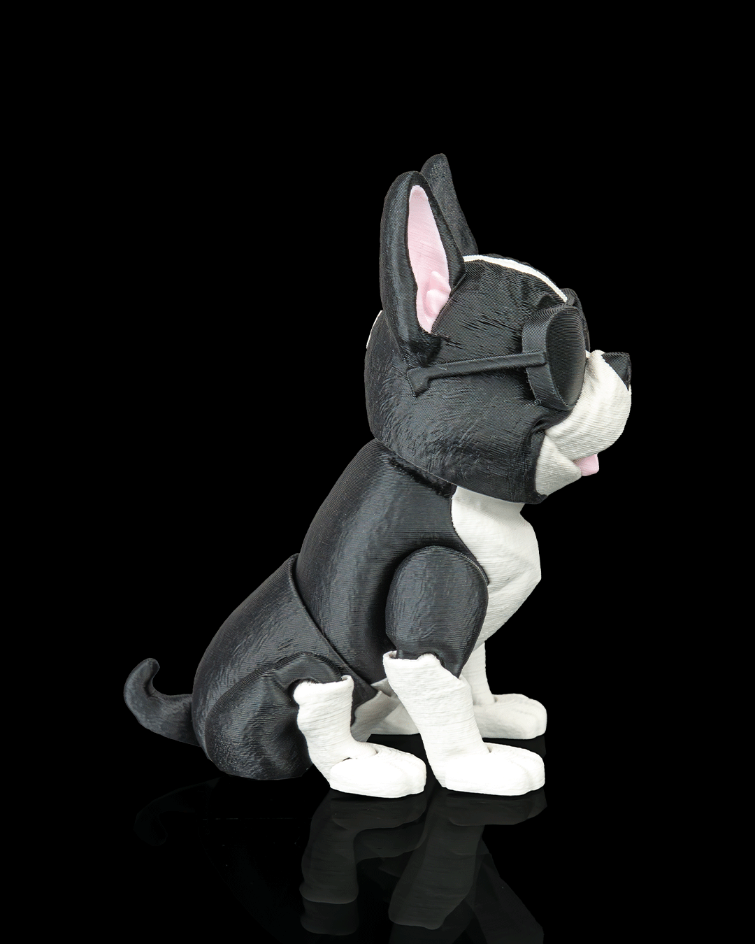 Pierre the French Bulldog — detalle textura